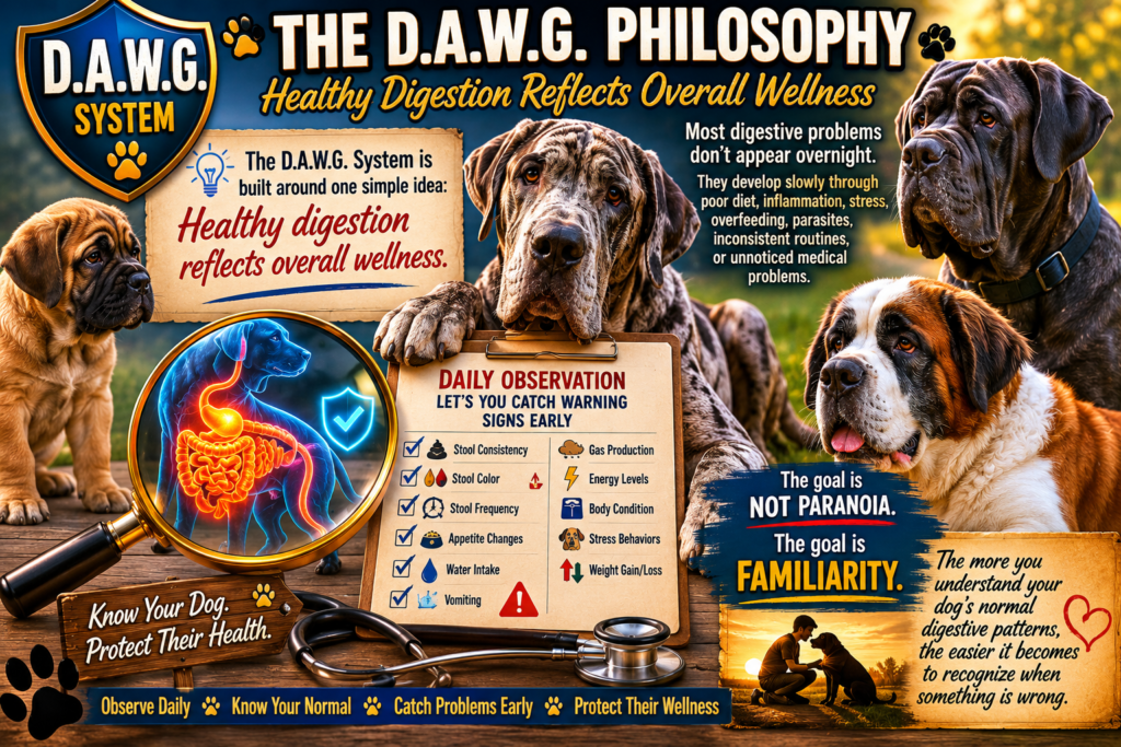 Image 2 DAWG Philosophy